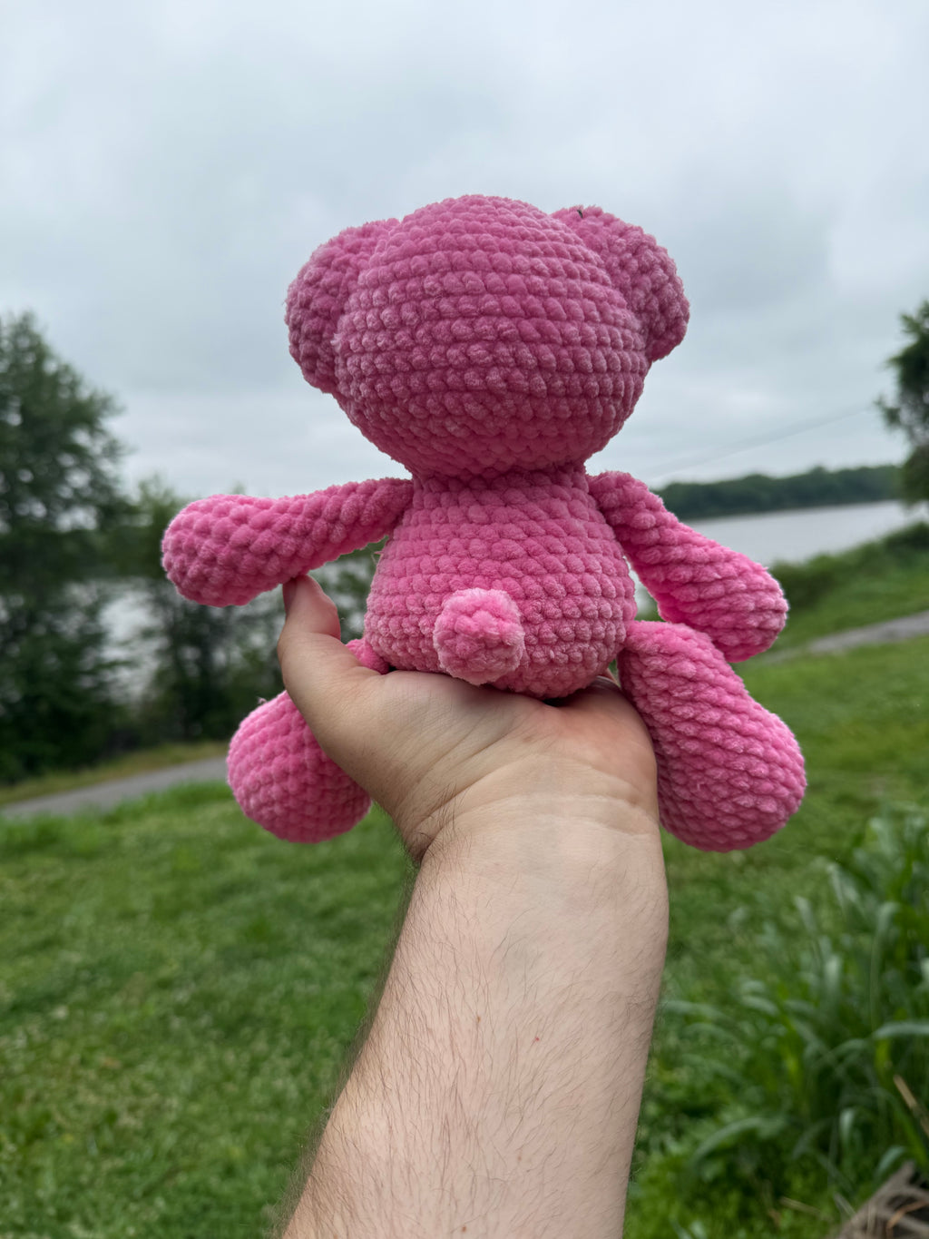 Pink Teddy - 10”