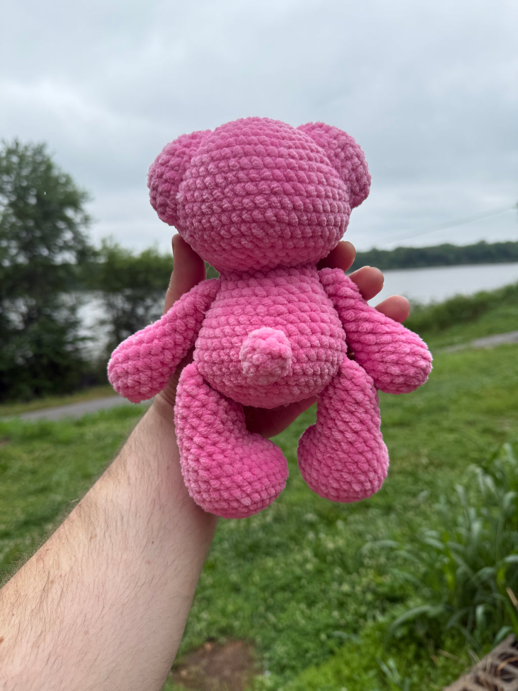 Pink Teddy - 10”