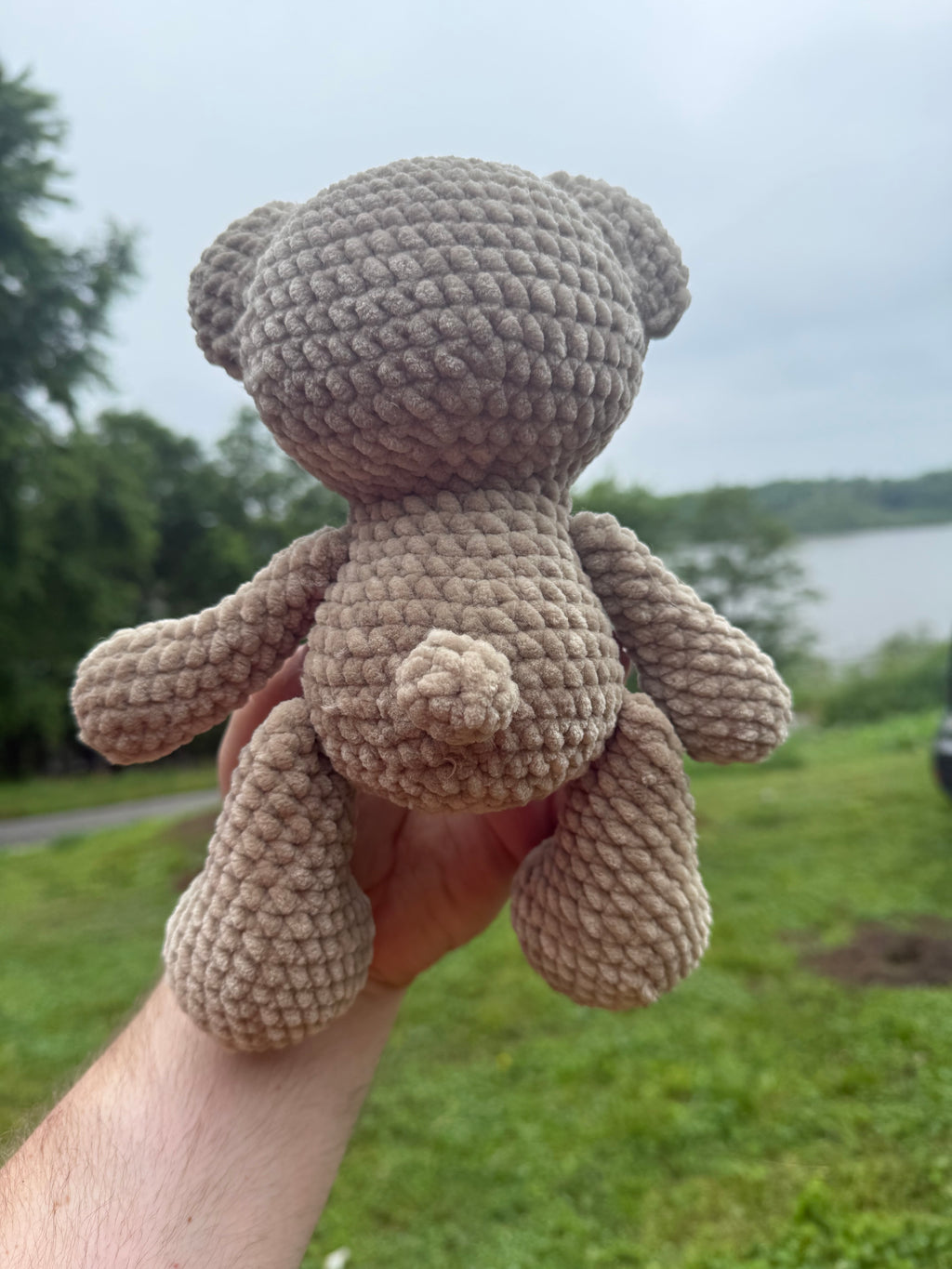 Toffee Teddy - 10”